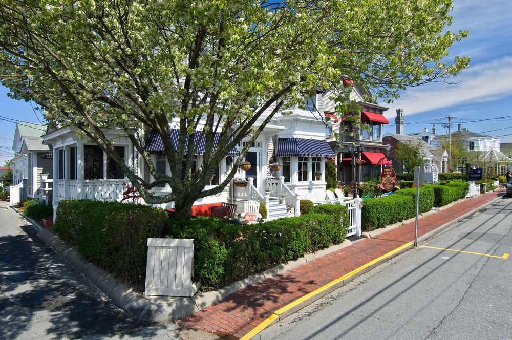 Guest House, Bed & Breakfast 4*