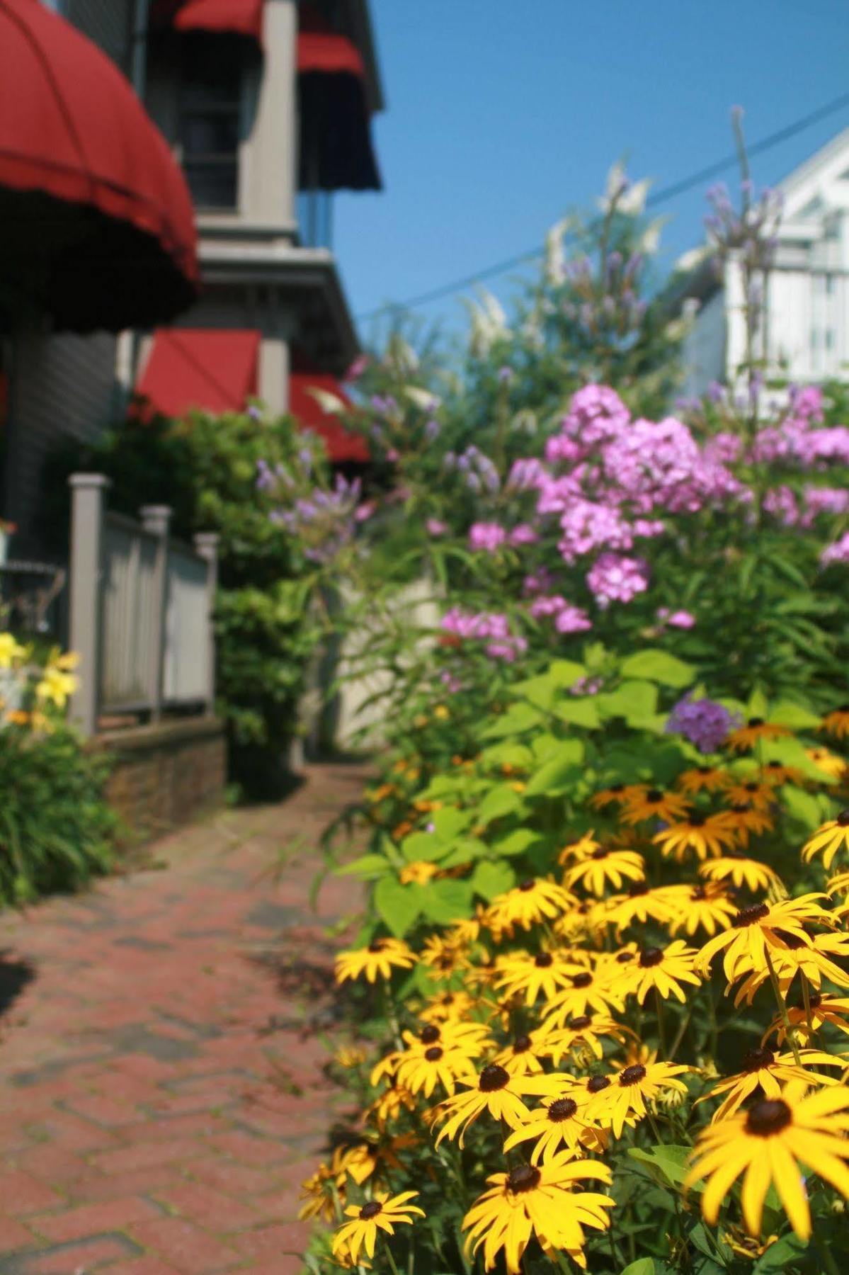 Guest House, Bed & Breakfast Provincetown